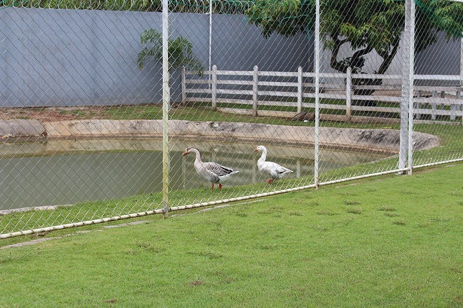 WhatsApp Image 2024-04-16 at 20.43.59 (4)