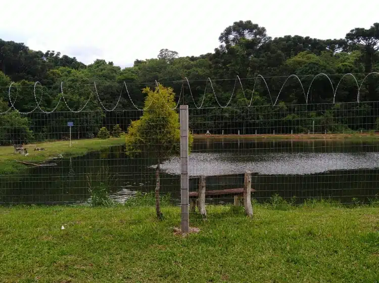 CLINICA DE RECUPERAÇÃO Unidade Masculina Marau RS OU INTERIOR RS (3)