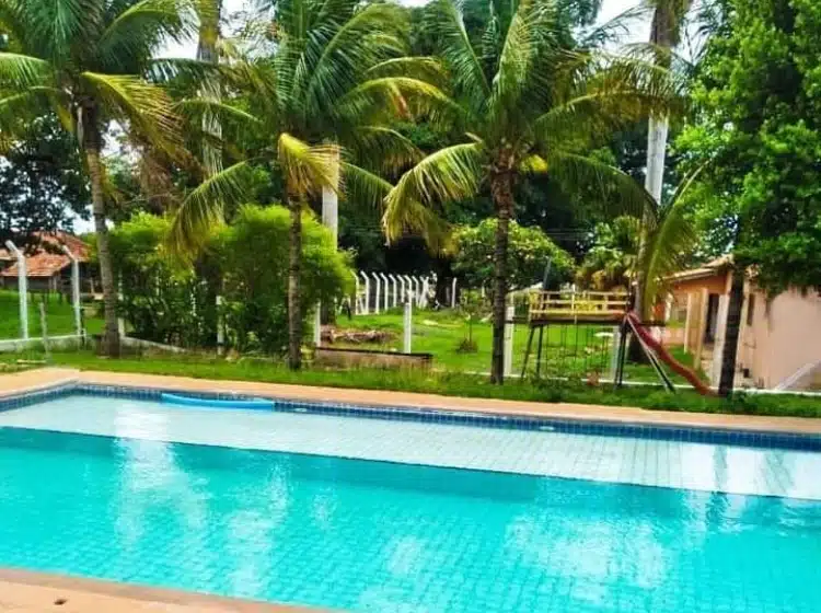 masculina INTERIOR DE SP (2)