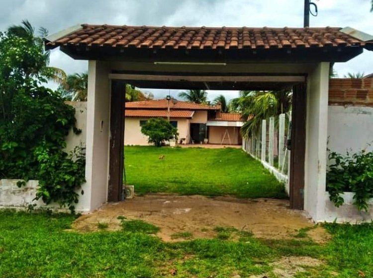 masculina INTERIOR DE SP